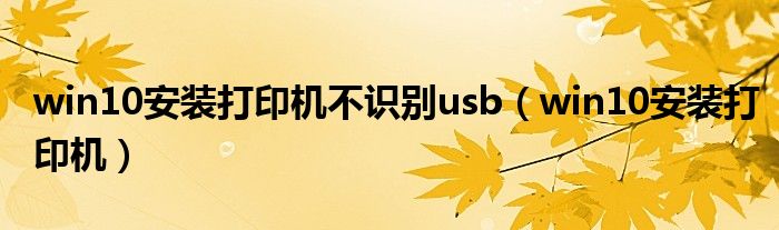 win10安装打印机不识别usb（win10安装打印机）