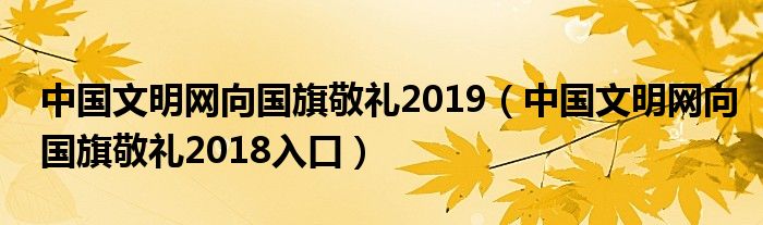 中国文明网向国旗敬礼2019（中国文明网向国旗敬礼2018入口）