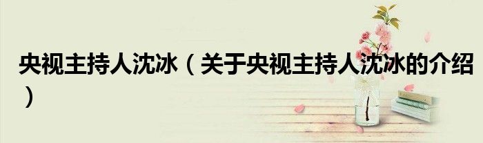 央视主持人沈冰（关于央视主持人沈冰的介绍）