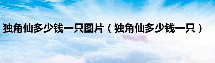 独角仙多少钱一只图片（独角仙多少钱一只）