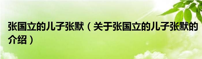 张国立的儿子张默（关于张国立的儿子张默的介绍）