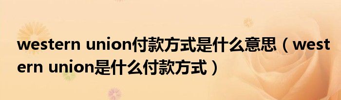 western union付款方式是什么意思（western union是什么付款方式）