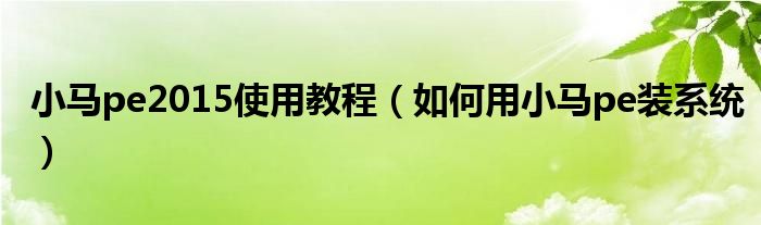 小马pe2015使用教程（如何用小马pe装系统）