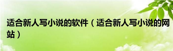 适合新人写小说的软件（适合新人写小说的网站）