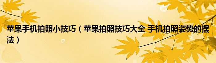 苹果手机拍照小技巧（苹果拍照技巧大全 手机拍照姿势的摆法）