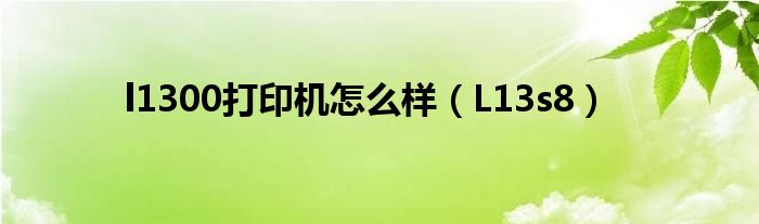 l1300打印机怎么样（L13s8）