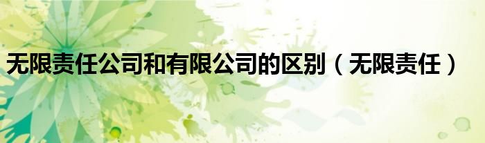 无限责任公司和有限公司的区别（无限责任）