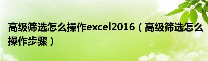 高级筛选怎么操作excel2016（高级筛选怎么操作步骤）