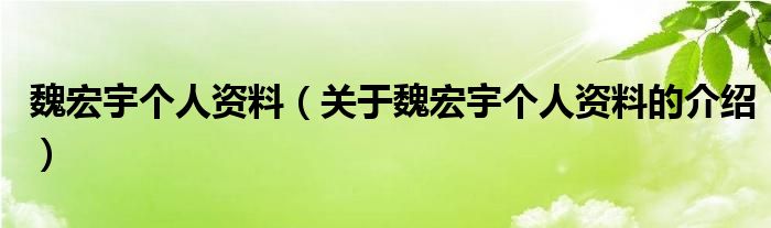 魏宏宇个人资料（关于魏宏宇个人资料的介绍）
