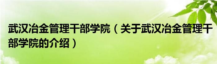 武汉冶金管理干部学院（关于武汉冶金管理干部学院的介绍）