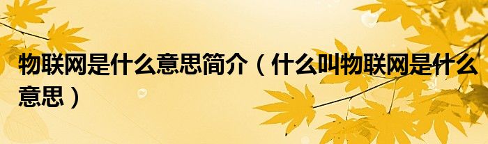 物联网是什么意思简介（什么叫物联网是什么意思）