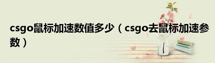csgo鼠标加速数值多少（csgo去鼠标加速参数）