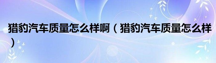 猎豹汽车质量怎么样啊（猎豹汽车质量怎么样）
