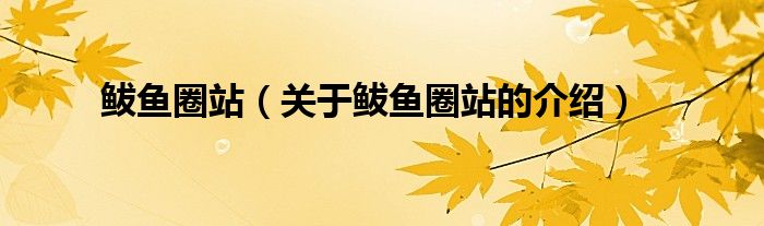 鲅鱼圈站（关于鲅鱼圈站的介绍）
