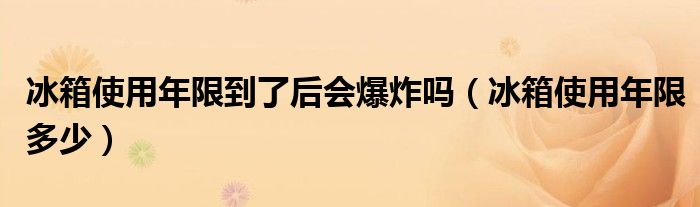 冰箱使用年限到了后会爆炸吗（冰箱使用年限多少）