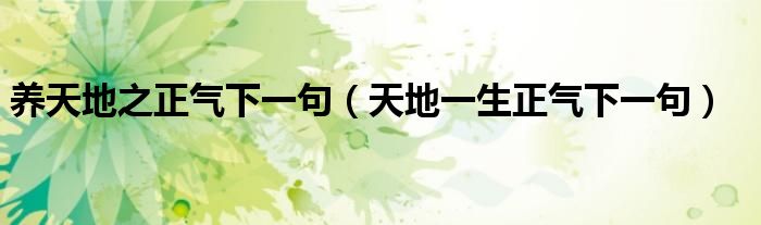养天地之正气下一句（天地一生正气下一句）