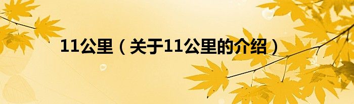 11公里（关于11公里的介绍）
