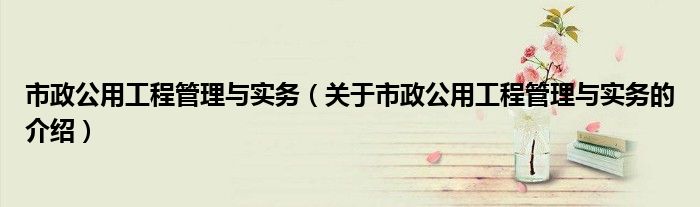 市政公用工程管理与实务（关于市政公用工程管理与实务的介绍）