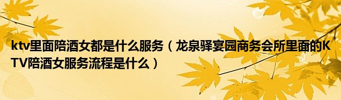 ktv里面陪酒女都是什么服务（龙泉驿宴园商务会所里面的KTV陪酒女服务流程是什么）