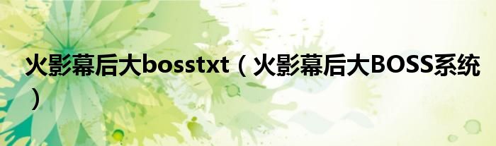 火影幕后大bosstxt（火影幕后大BOSS系统）