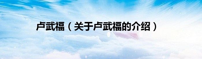 卢武福（关于卢武福的介绍）