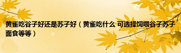 黄雀吃谷子好还是苏子好（黄雀吃什么 可选择饲喂谷子苏子面食等等）