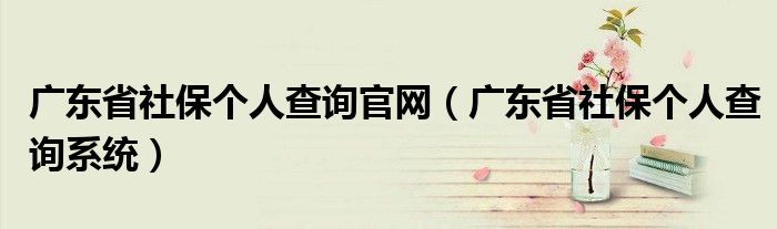 广东省社保个人查询官网（广东省社保个人查询系统）