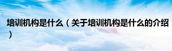 培训机构是什么（关于培训机构是什么的介绍）