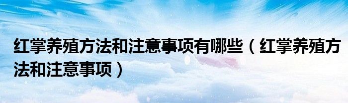 红掌养殖方法和注意事项有哪些（红掌养殖方法和注意事项）