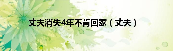 丈夫消失4年不肯回家（丈夫）