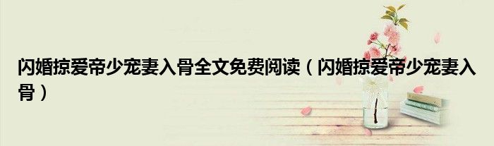 闪婚掠爱帝少宠妻入骨全文免费阅读（闪婚掠爱帝少宠妻入骨）
