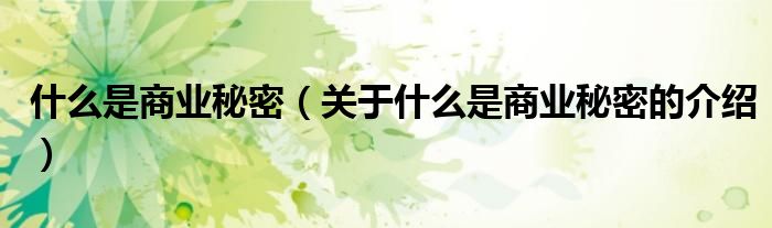 什么是商业秘密（关于什么是商业秘密的介绍）