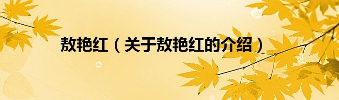 敖艳红（关于敖艳红的介绍）