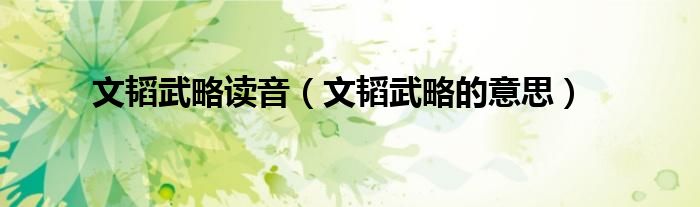 文韬武略读音（文韬武略的意思）