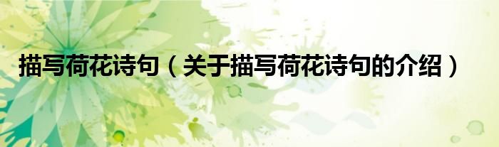 描写荷花诗句（关于描写荷花诗句的介绍）