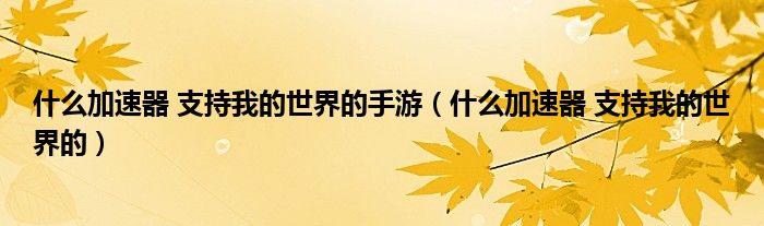 什么加速器 支持我的世界的手游（什么加速器 支持我的世界的）