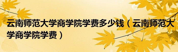 云南师范大学商学院学费多少钱（云南师范大学商学院学费）