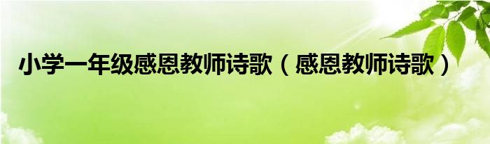 小学一年级感恩教师诗歌（感恩教师诗歌）