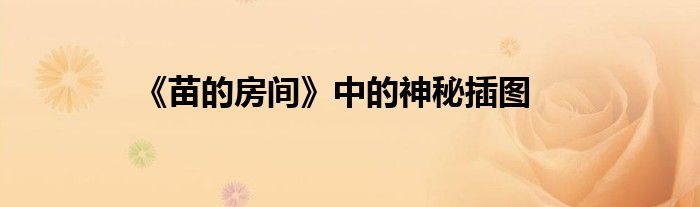 《苗的房间》中的神秘插图