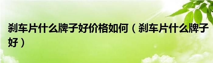 刹车片什么牌子好价格如何（刹车片什么牌子好）