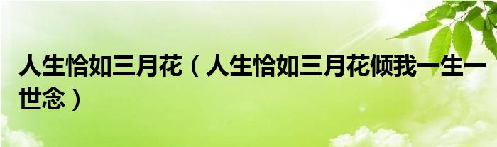 人生恰如三月花（人生恰如三月花倾我一生一世念）