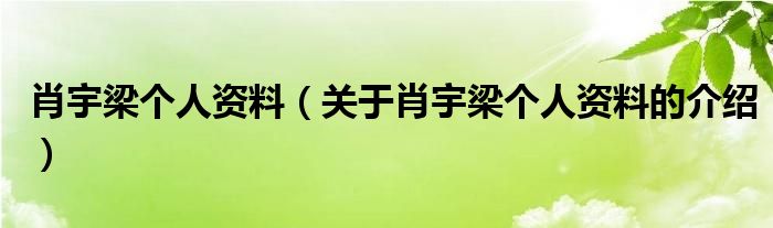 肖宇梁个人资料（关于肖宇梁个人资料的介绍）
