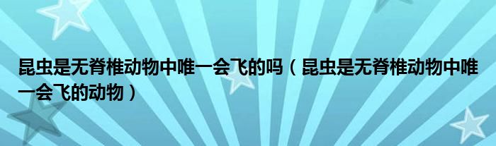 昆虫是无脊椎动物中唯一会飞的吗（昆虫是无脊椎动物中唯一会飞的动物）