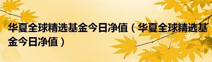 华夏全球精选基金今日净值（华夏全球精选基金今日净值）