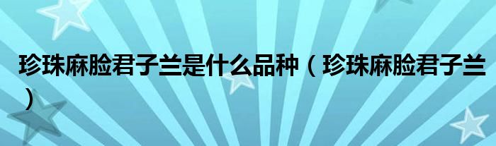 珍珠麻脸君子兰是什么品种（珍珠麻脸君子兰）