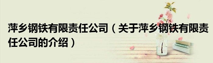 萍乡钢铁有限责任公司（关于萍乡钢铁有限责任公司的介绍）