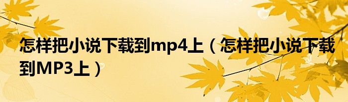 怎样把小说下载到mp4上（怎样把小说下载到MP3上）