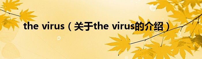 the virus（关于the virus的介绍）