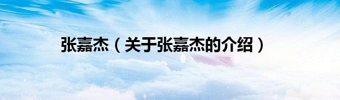 张嘉杰（关于张嘉杰的介绍）
