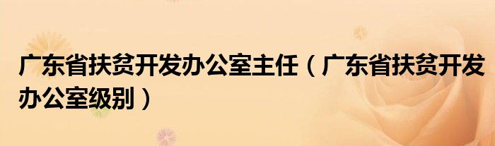 广东省扶贫开发办公室主任（广东省扶贫开发办公室级别）